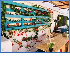 Hostel Faroway, Dystrykt Faro